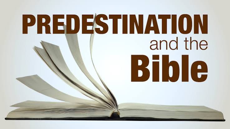 Predestination Doctrine